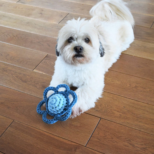 Fleur – Jouet pour chien