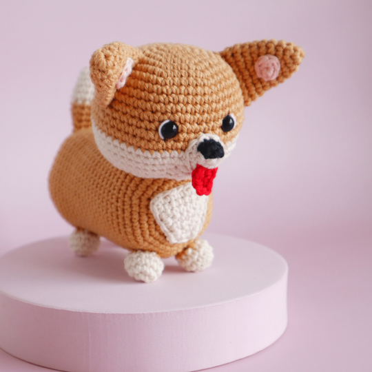Cooper le Corgi