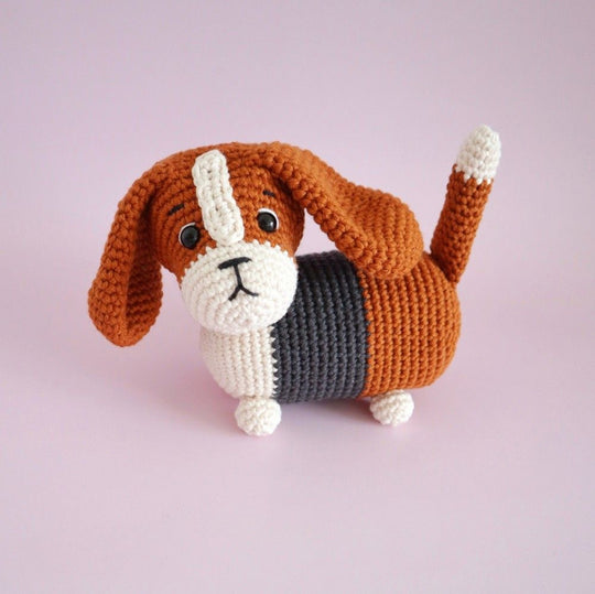 Gus the Basset Hound