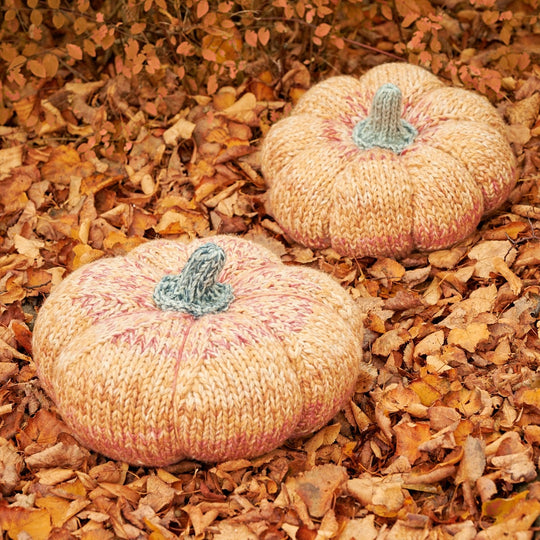 Citrouilles géantes
