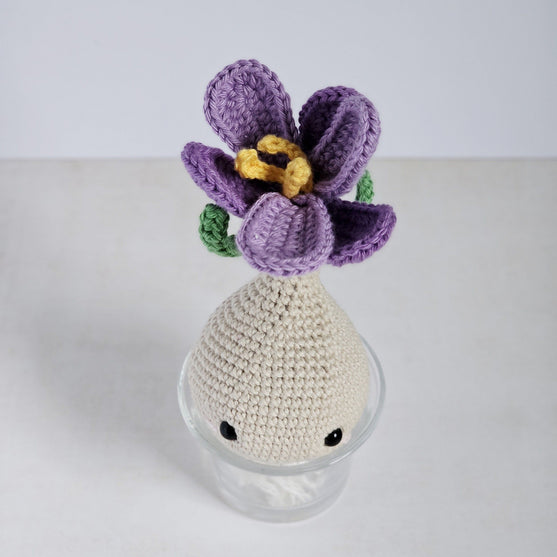 

Crocus
3