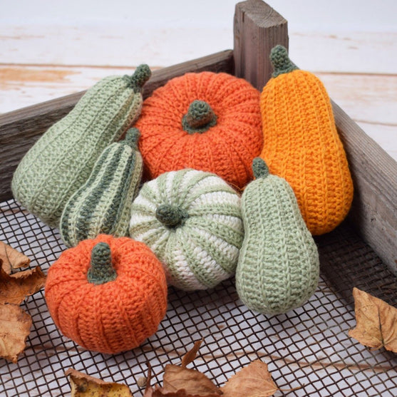 

Courges ornementales - Longues
3