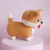 

Cooper le Corgi
2