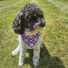 

Millie’s - Bandana pour Chien
2