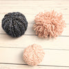 

Sea Urchin
3