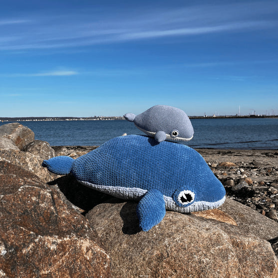 

Blue Whale
2