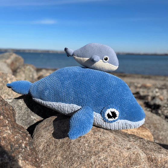 

Blue Whale
3