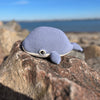 

Blue Whale
4