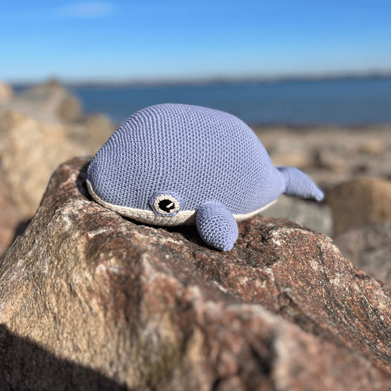 

Blue Whale
4
