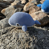 

Blue Whale
5