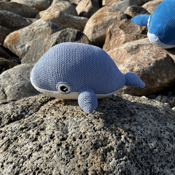 

Blue Whale
5