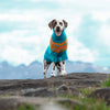 

Dalmatien - Pull pour Chien
1