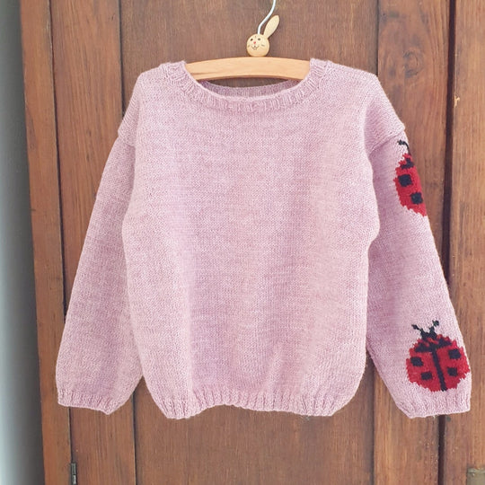 Ladybug - Pull Enfant
