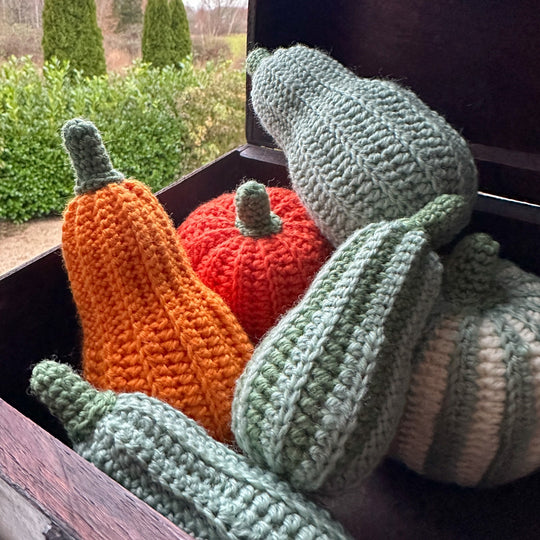 Courges ornementales - Longues