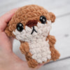 

Otto, la loutre
5