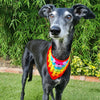 

Dandy - Bandana pour Chien
1