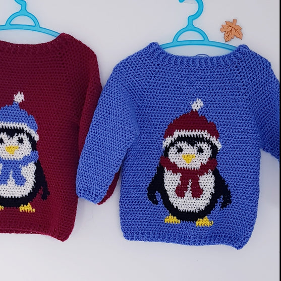 

Pull Pingouin
4