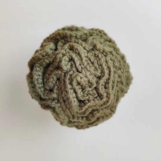 

Brocoli - Jouet au crochet
4