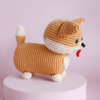 

Cooper le Corgi
2