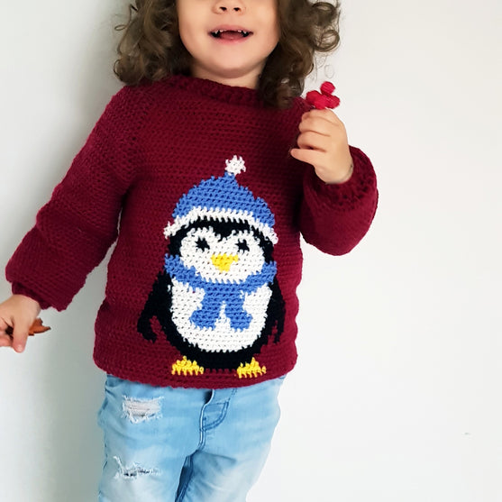 

Pull Pingouin
3