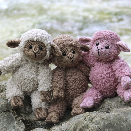 

Teddy Basserne
2