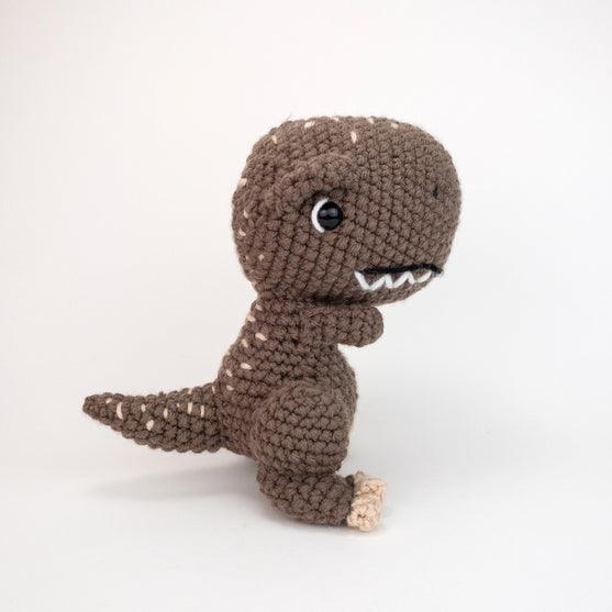 

Troy le T-Rex
1