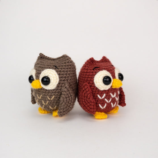 

Ollie et Opal les Hiboux
2