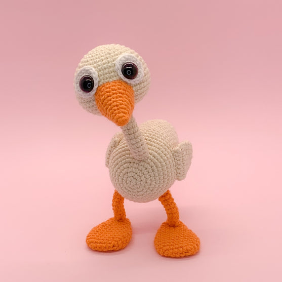 

Anton l’Oie de Noël
2