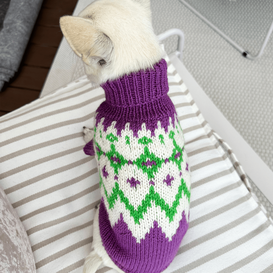 

Chihuahua - Pull pour Chien
2