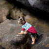 

Yorkshire Terrier - Pull pour Chien
2