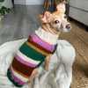 

Benson - Pull pour Chien
2