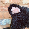 

Hooded Cat - Capuche
4