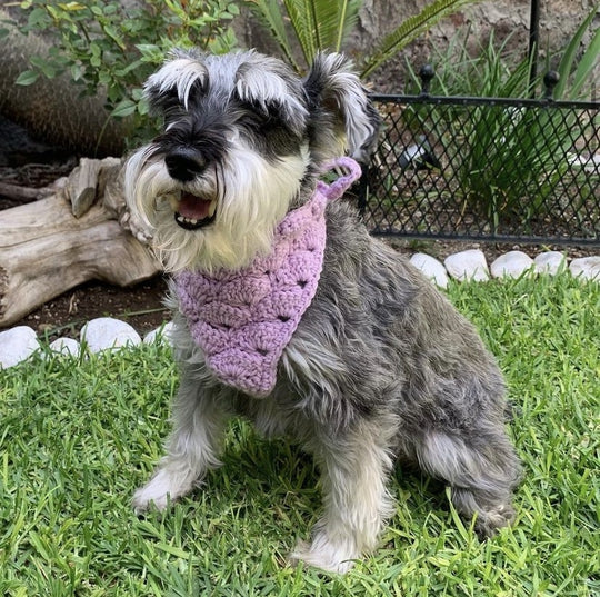 Cuddly Wrap - Bandana pour Chien
