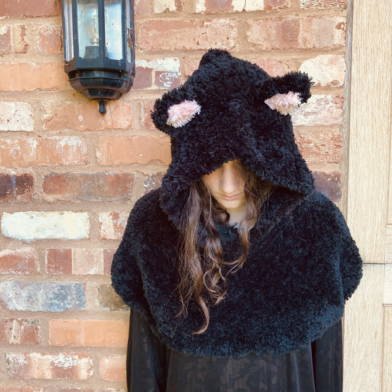 

Hooded Cat - Capuche
2