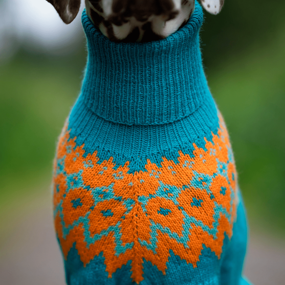 

Dalmatien - Pull pour Chien
3
