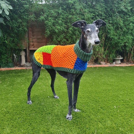 Wally - Pull pour Chien