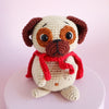 

Cookie le Super Carlin
1