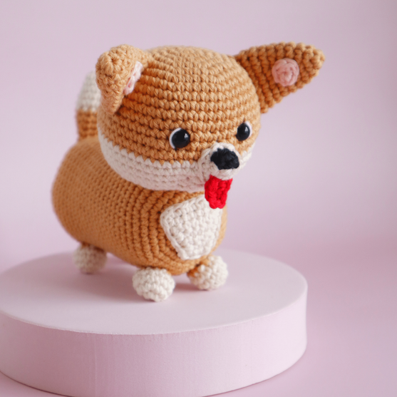 

Cooper le Corgi
1