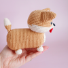 

Cooper le Corgi
4