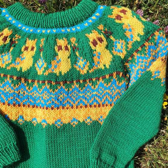 

Silly Owl - Pull Enfant
1