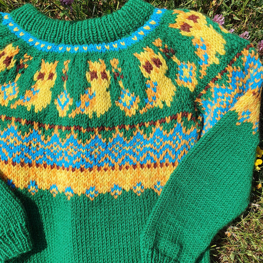 Silly Owl - Pull Enfant