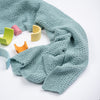 

Primula - Couverture
2