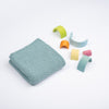 

Primula - Couverture
1