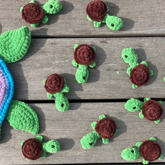 

Rainbow Turtles - Jeu de mémoire
8