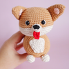 

Cooper le Corgi
3