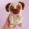 

Cookie le Super Carlin
4