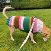 

Benson - Pull pour Chien
4