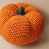 

Citrouille - Jouet au crochet
3