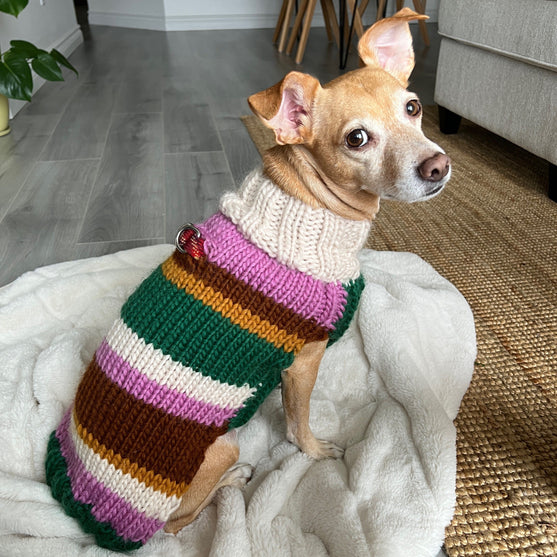 

Benson - Pull pour Chien
2