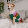 

Benson - Pull pour Chien
1